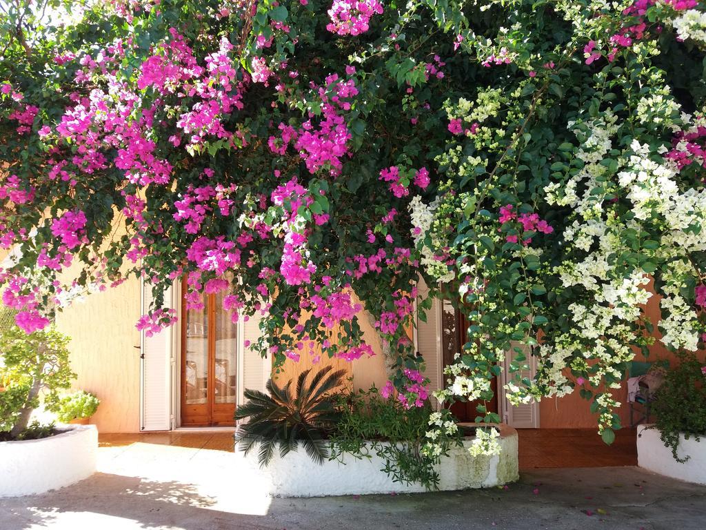 Constantinos Apartments Lassi  Extérieur photo